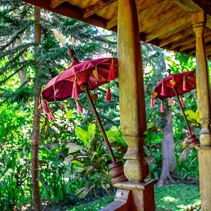 swasti-eco-cottages.ubudhotelsnow.com/